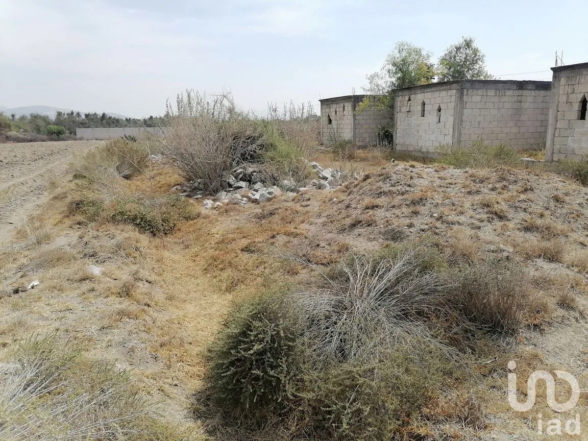 Terreno en Venta en Jamaica, Tepeaca, Puebla | NEX-198616 | iad México | Foto 5 de 10