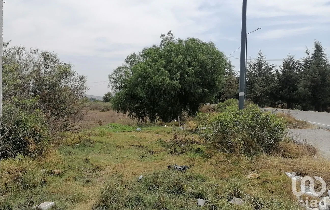 Terreno en Venta en Jamaica, Tepeaca, Puebla | NEX-198616 | iad México | Foto 7 de 10