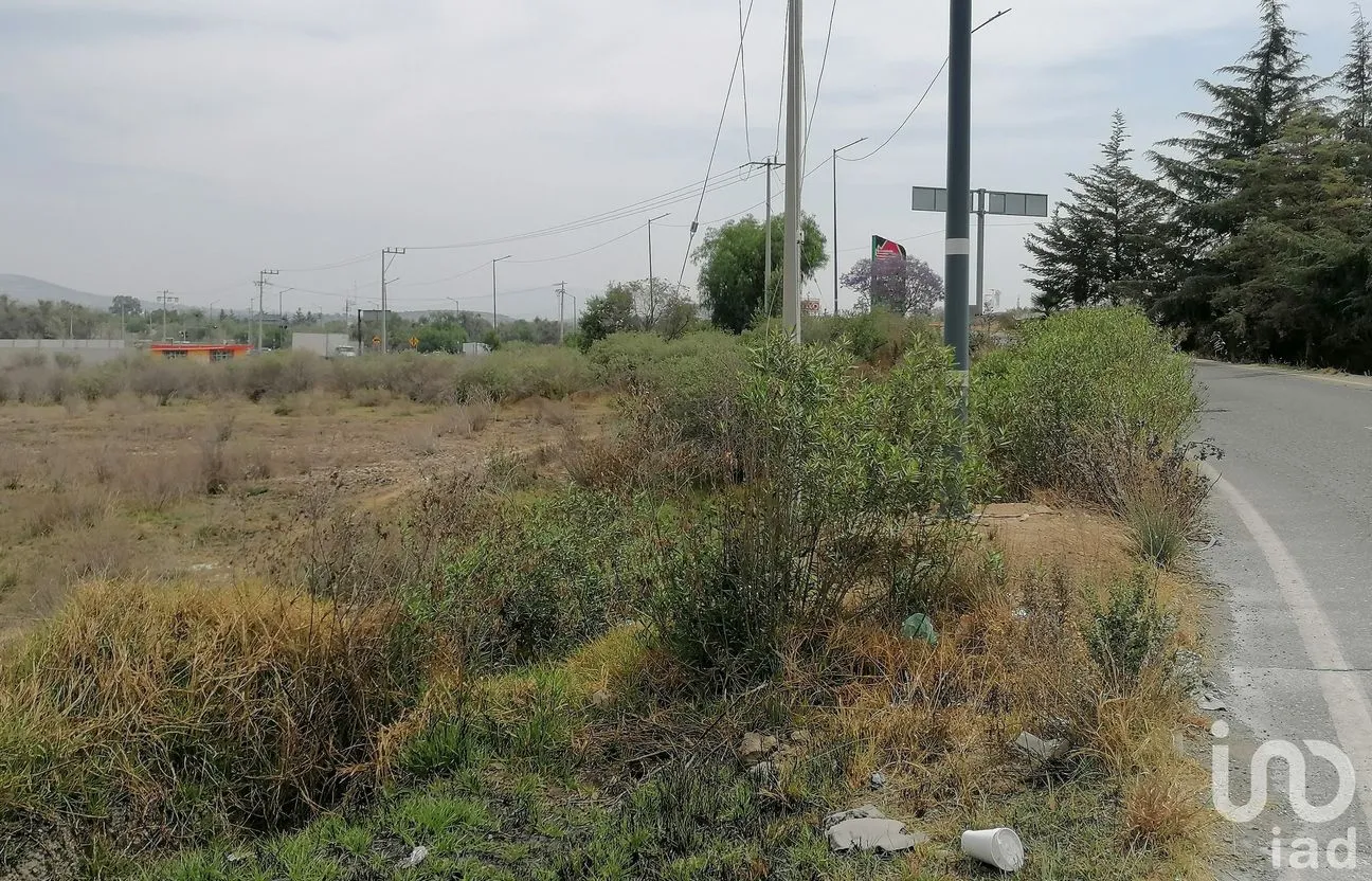 Terreno en Venta en Jamaica, Tepeaca, Puebla | NEX-198616 | iad México | Foto 8 de 10