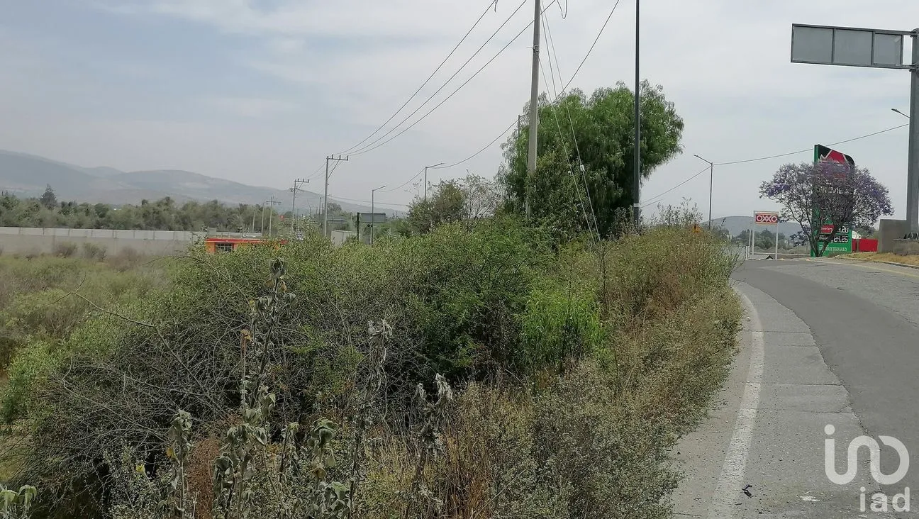 Terreno en Venta en Jamaica, Tepeaca, Puebla | NEX-198616 | iad México | Foto 9 de 10