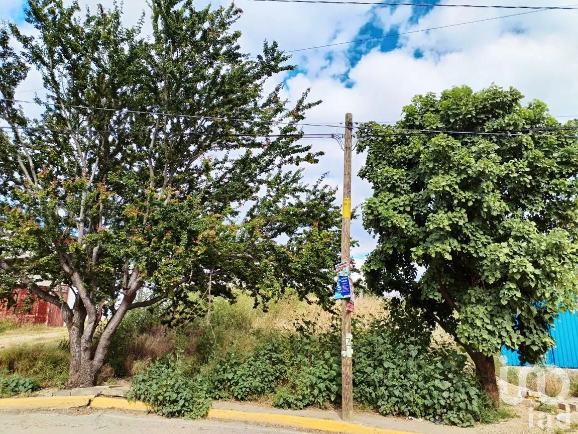 Terreno en Venta en San Raymundo Jalpan, San Raymundo Jalpan, Oaxaca | NEX-235921 | iad México | Foto 6 de 9