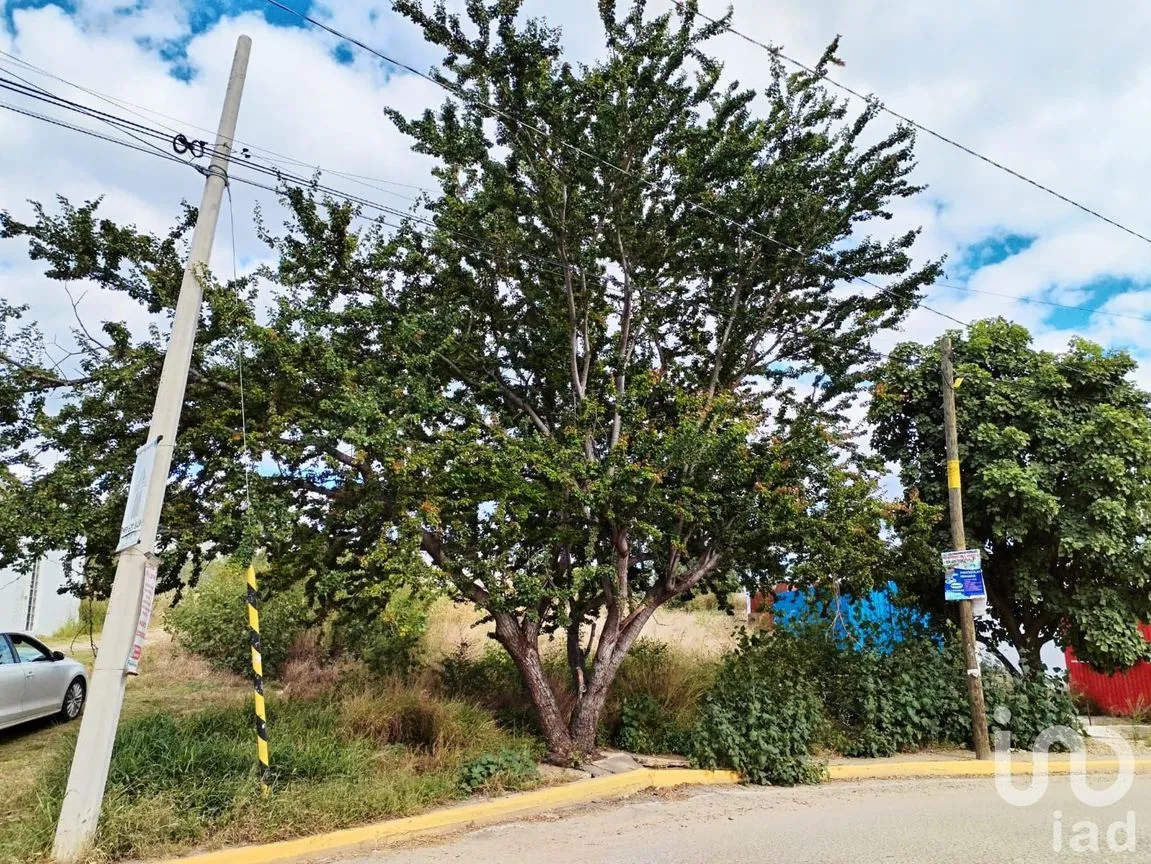 Terreno en Venta en San Raymundo Jalpan, San Raymundo Jalpan, Oaxaca | NEX-235921 | iad México | Foto 8 de 9