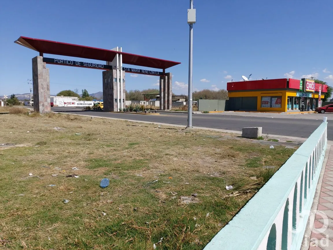 Terreno en Venta en Santa María Nenetzintla, Acajete, Puebla | NEX-240601 | iad México | Foto 4 de 6