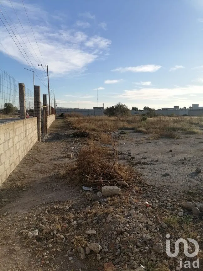 Terreno en Renta en San Diego, Tepeaca, Puebla | NEX-254878 | iad México | Foto 3 de 6