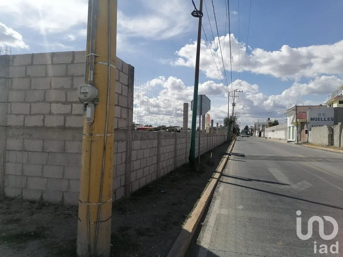 Terreno en Renta en San Diego, Tepeaca, Puebla | NEX-254878 | iad México | Foto 5 de 6