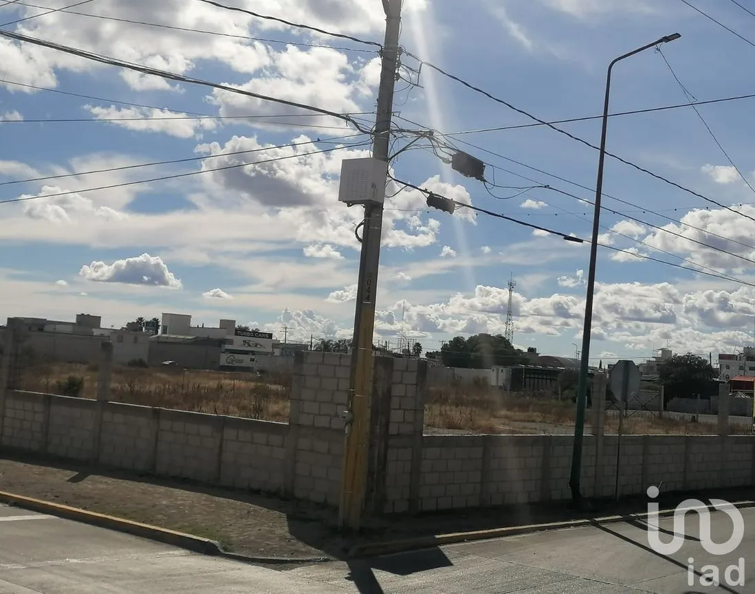 Terreno en Renta en San Diego, Tepeaca, Puebla | NEX-254878 | iad México | Foto 6 de 6