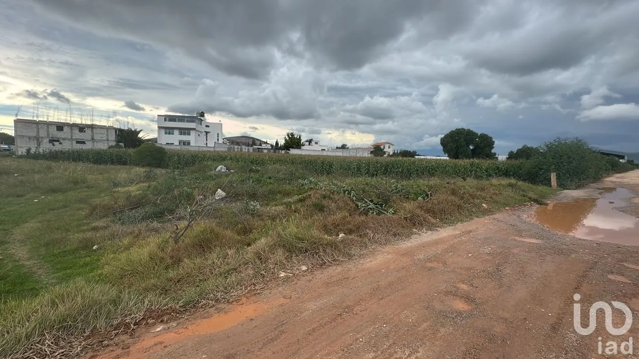 Terreno en Venta en Ecchomo, Tepeaca, Puebla | NEX-259255 | iad México | Foto 3 de 6