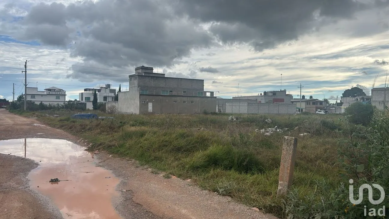 Terreno en Venta en Ecchomo, Tepeaca, Puebla | NEX-259255 | iad México | Foto 4 de 6