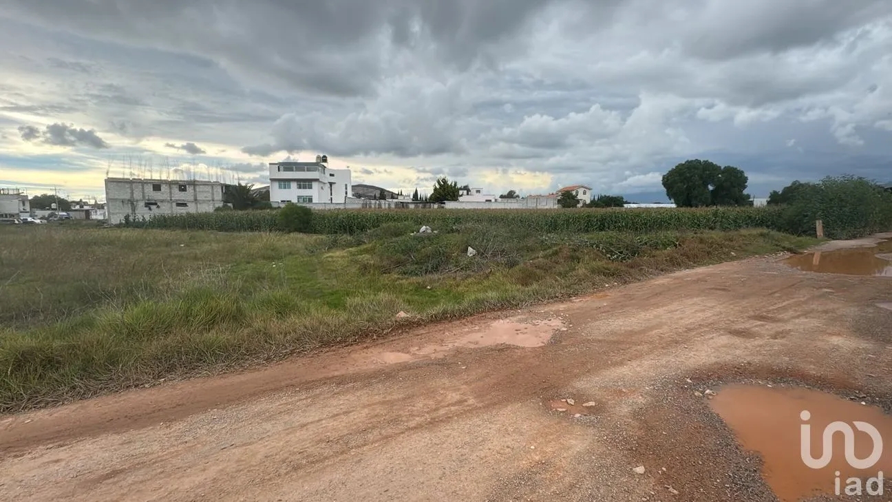 Terreno en Venta en Ecchomo, Tepeaca, Puebla | NEX-259255 | iad México | Foto 5 de 6