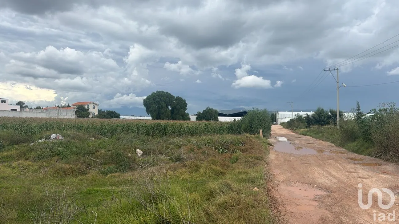 Terreno en Venta en Ecchomo, Tepeaca, Puebla | NEX-259255 | iad México | Foto 6 de 6