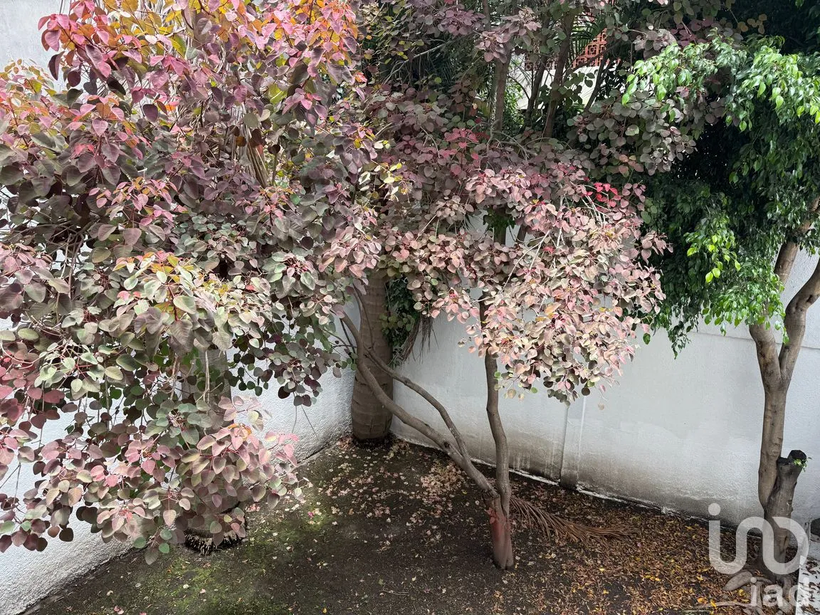 Casa en Venta en Campestre Churubusco, Coyoacán, Ciudad de México | NEX-301615 | iad México | Foto 20 de 20