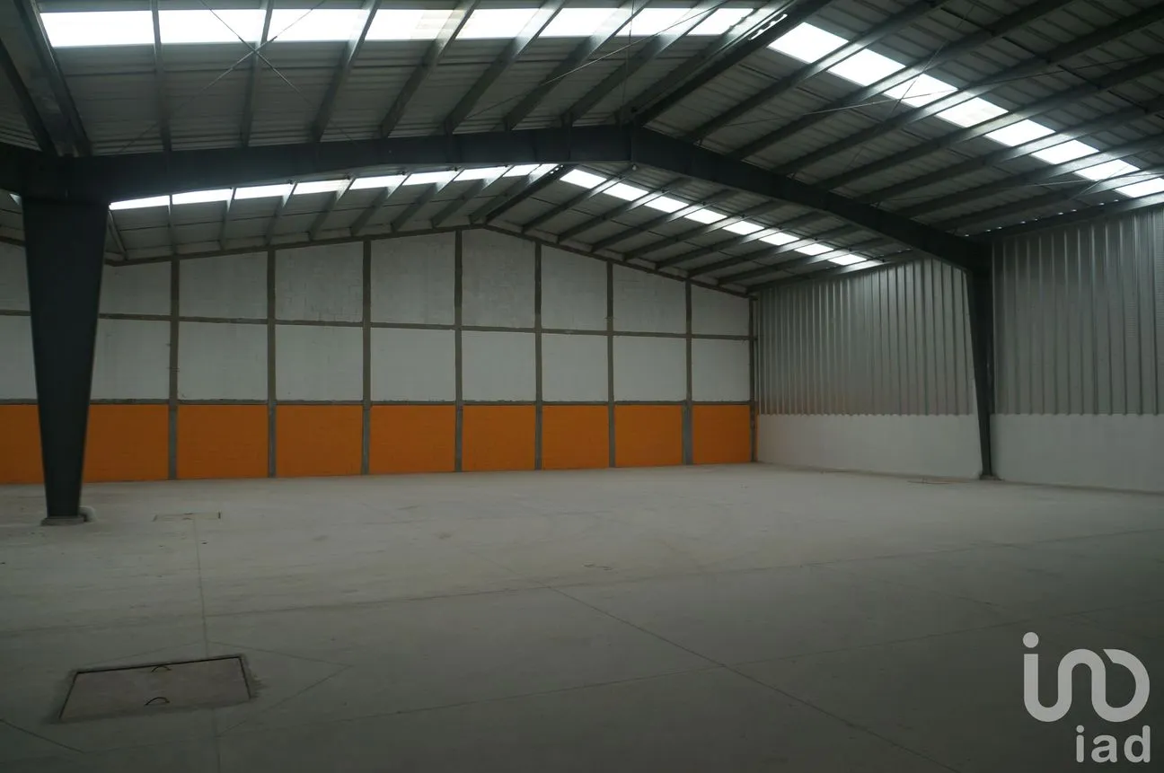 Bodega en Renta en Alfredo V Bonfil, Benito Juárez, Quintana Roo | NEX-13032 | iad México | Foto 5 de 10