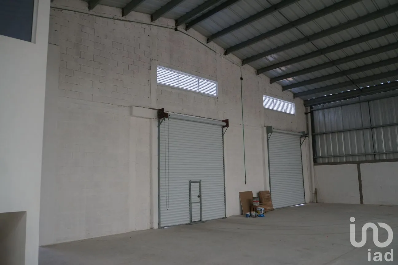 Bodega en Renta en Alfredo V Bonfil, Benito Juárez, Quintana Roo | NEX-13032 | iad México | Foto 4 de 10