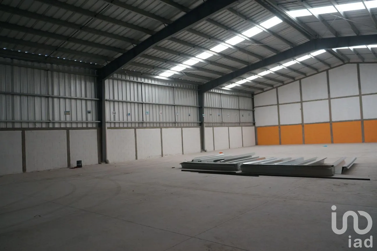 Bodega en Renta en Alfredo V Bonfil, Benito Juárez, Quintana Roo | NEX-13032 | iad México | Foto 6 de 10