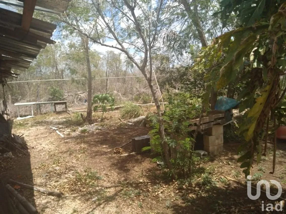 Terreno en Venta en Sitpach, Mérida, Yucatán | NEX-147565 | iad México | Foto 10 de 15