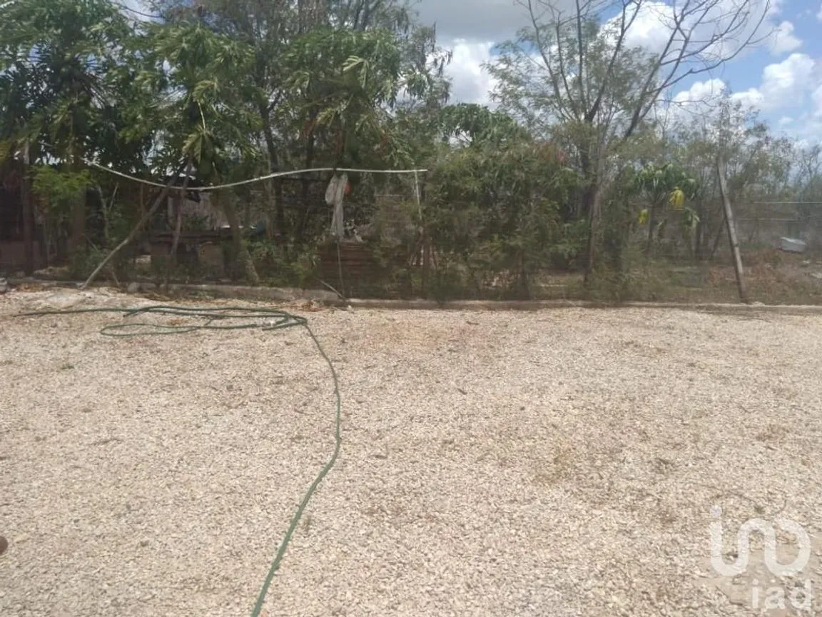 Terreno en Venta en Sitpach, Mérida, Yucatán | NEX-147565 | iad México | Foto 11 de 15