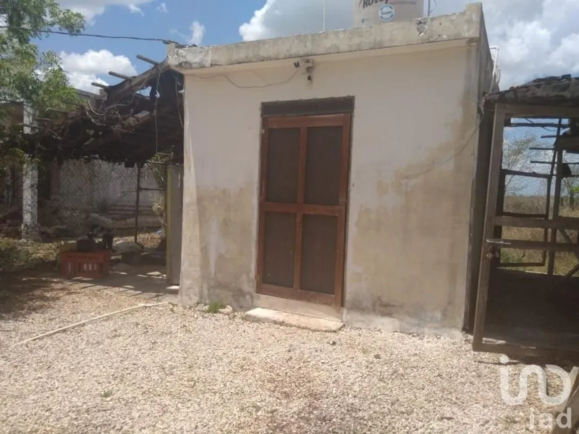 Terreno en Venta en Sitpach, Mérida, Yucatán | NEX-147565 | iad México | Foto 9 de 15