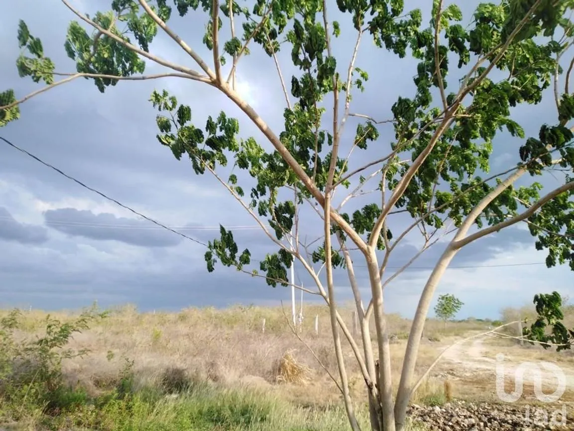 Terreno en Venta en Sitpach, Mérida, Yucatán | NEX-147565 | iad México | Foto 14 de 15