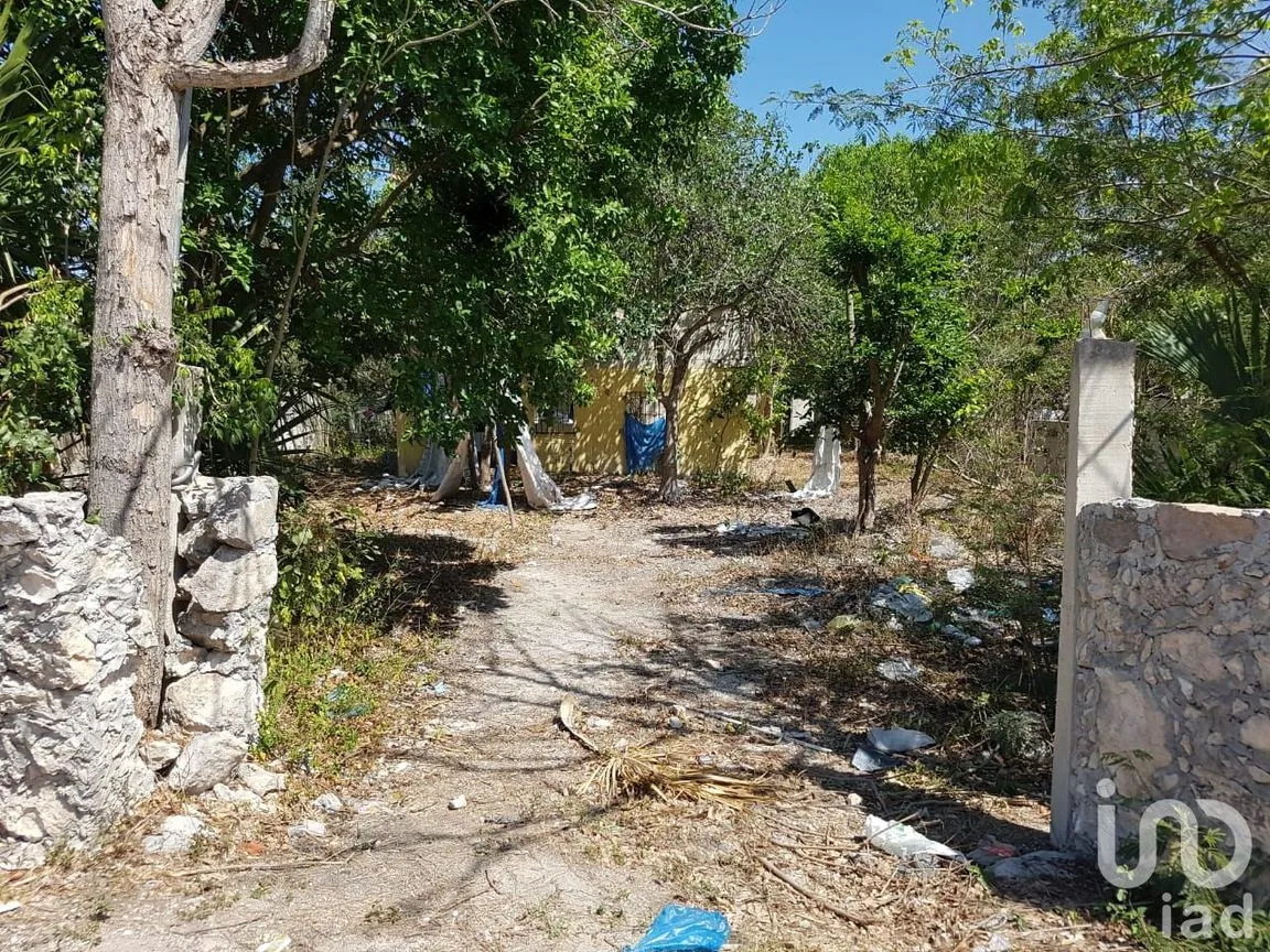 Terreno en Venta en Ucú, Ucú, Yucatán | NEX-5424 | iad México | Foto 1 de 8
