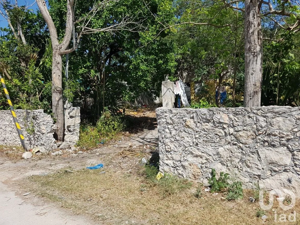 Terreno en Venta en Ucú, Ucú, Yucatán | NEX-5424 | iad México | Foto 2 de 8
