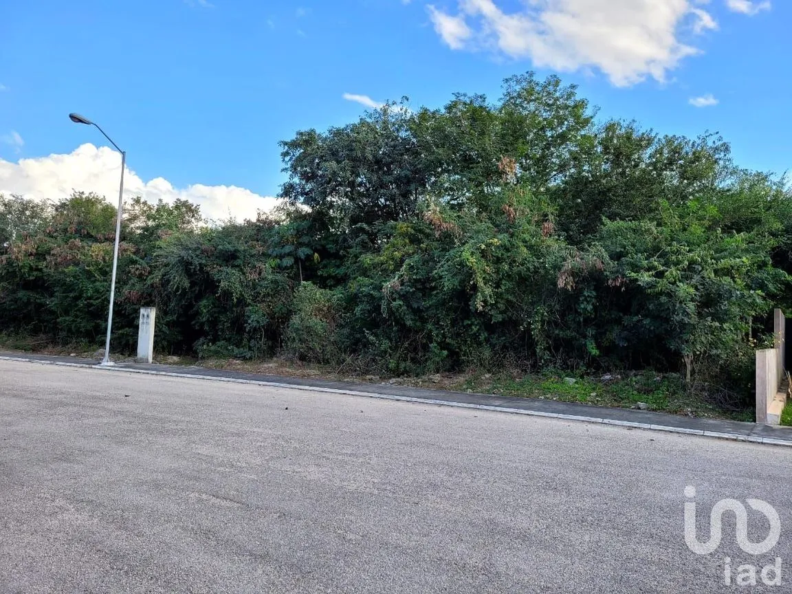 Terreno en Venta en La Rejoyada, Mérida, Yucatán | NEX-55010 | iad México | Foto 7 de 9