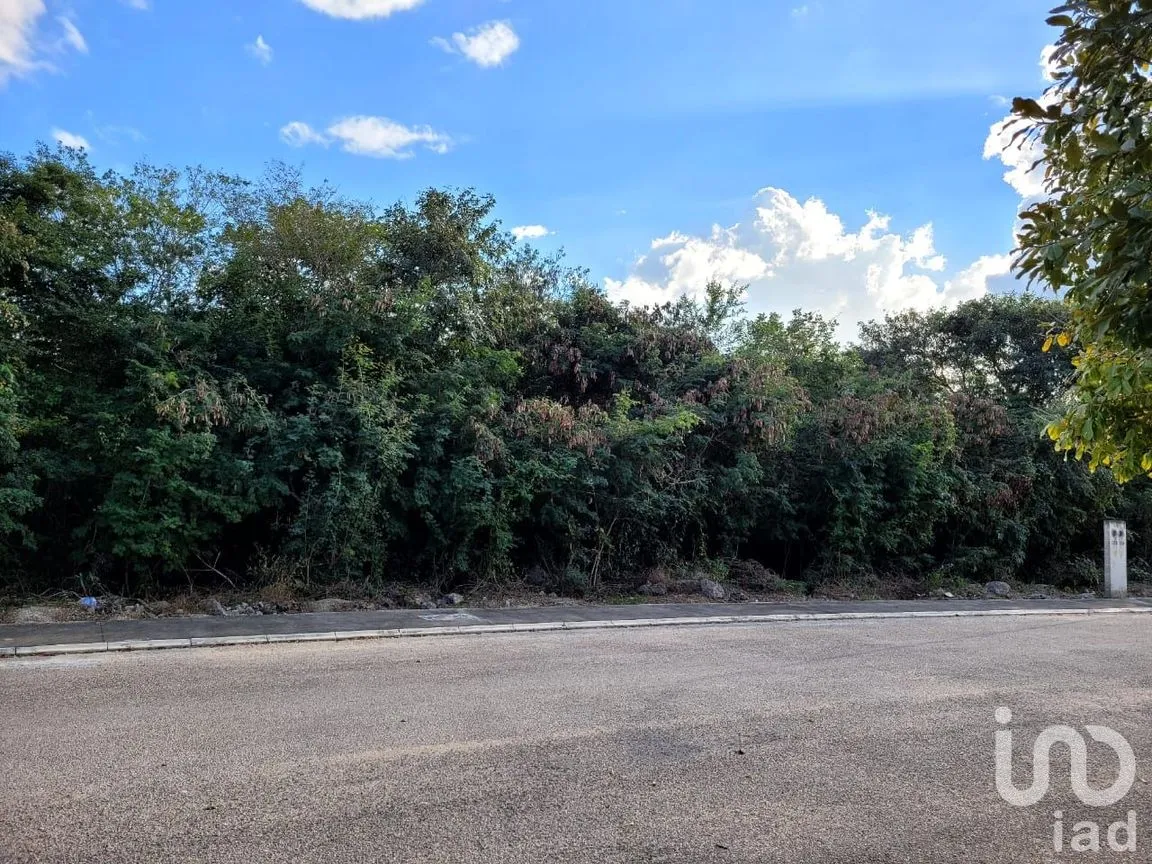 Terreno en Venta en La Rejoyada, Mérida, Yucatán | NEX-55010 | iad México | Foto 8 de 9