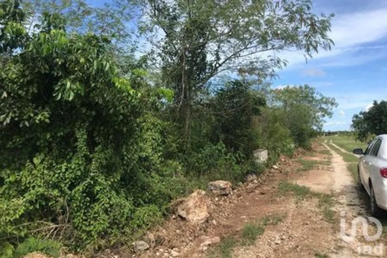 Terreno en Venta en Sitpach, Mérida, Yucatán | NEX-57079 | iad México | Foto 5 de 5