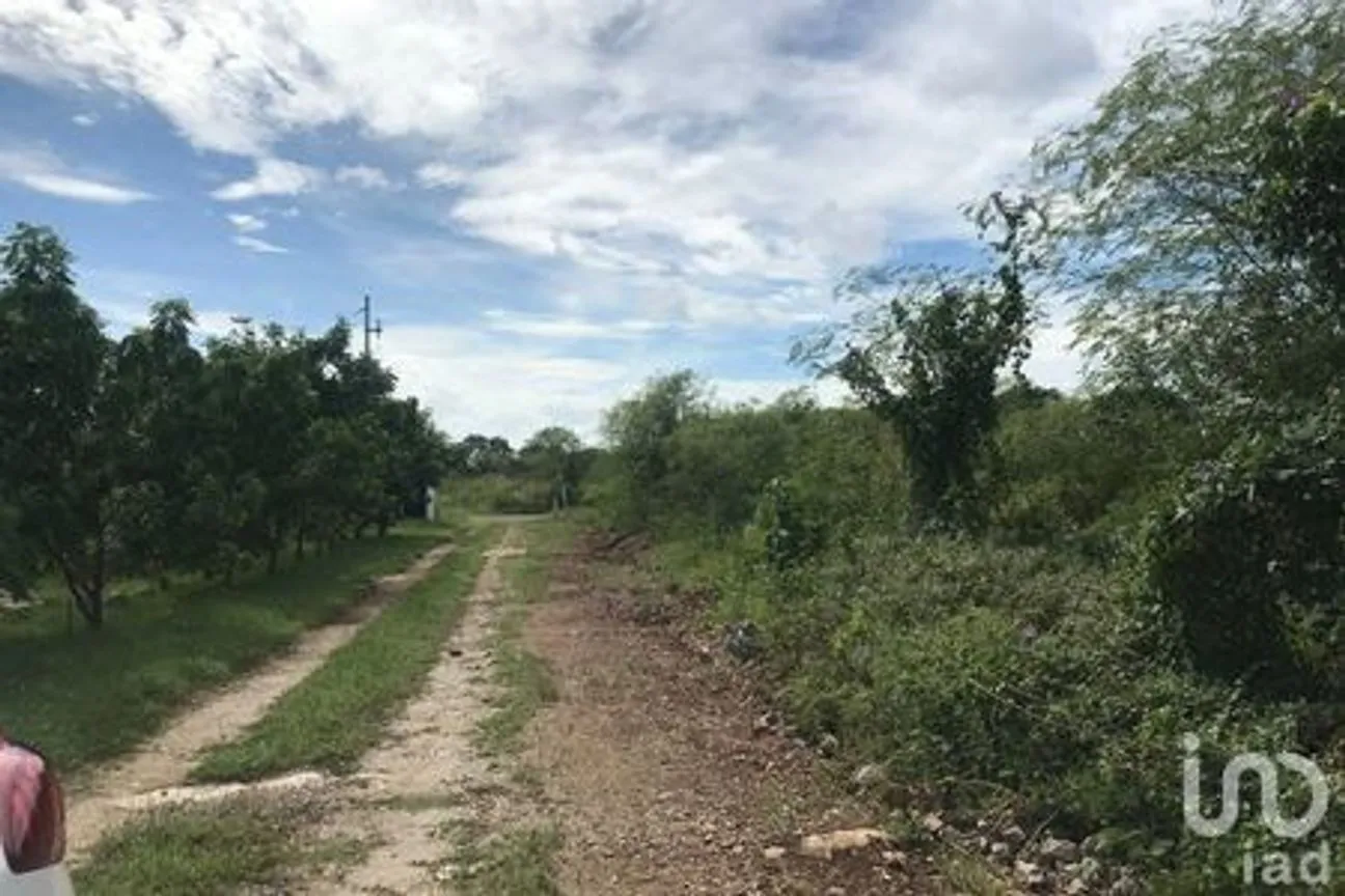 Terreno en Venta en Sitpach, Mérida, Yucatán | NEX-57079 | iad México | Foto 4 de 5