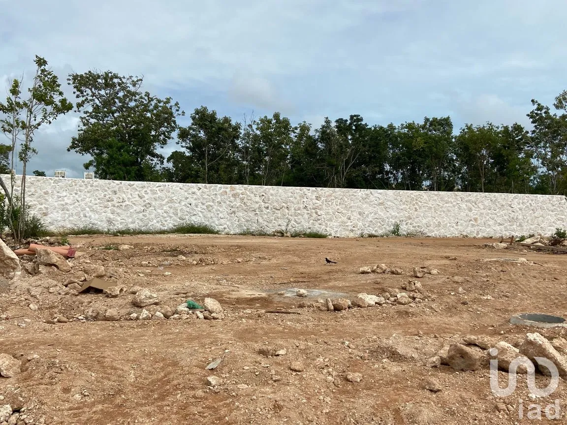 Terreno en Venta en Supermanzana 313, Benito Juárez, Quintana Roo | NEX-76452 | iad México | Foto 5 de 21