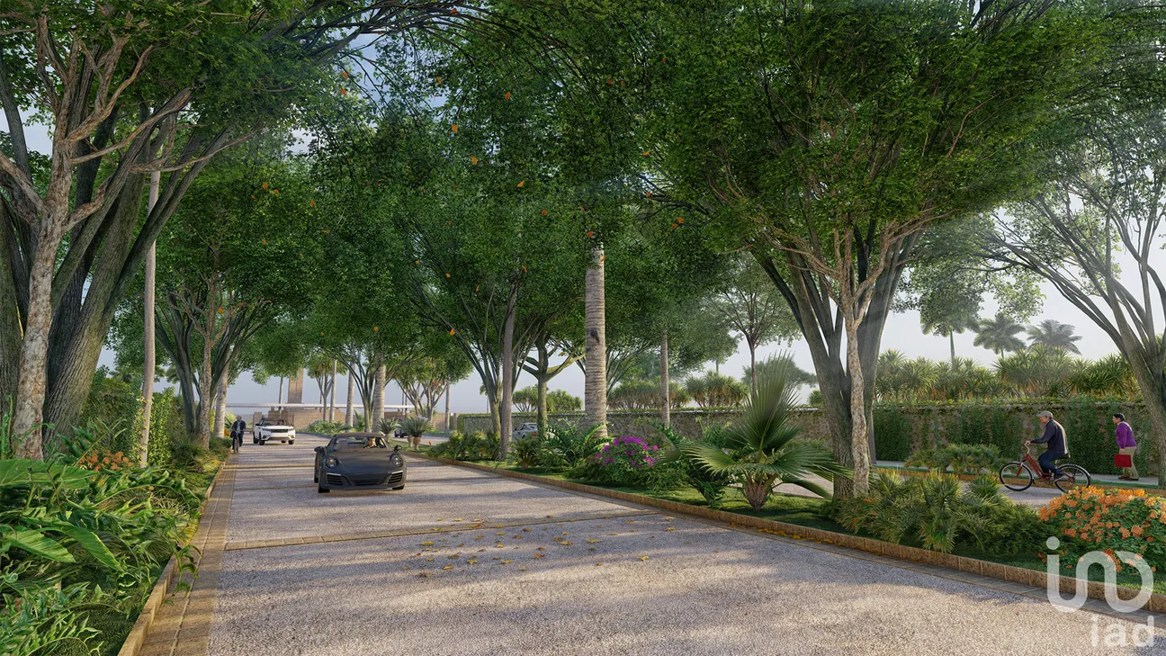 Terreno en Venta en Supermanzana 313, Benito Juárez, Quintana Roo | NEX-76452 | iad México | Foto 21 de 21
