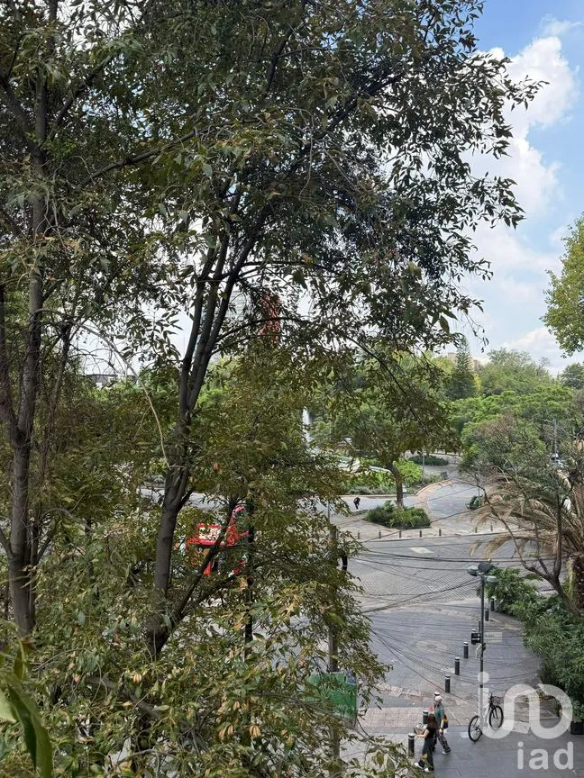 Local en Renta en Roma Norte, Cuauhtémoc, Ciudad de México | NEX-259306 | iad México | Foto 2 de 3