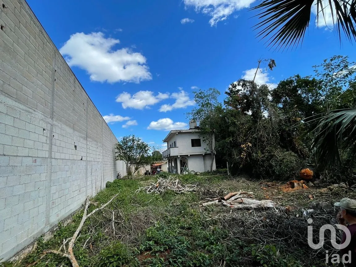 Terreno en Venta en José María Morelos, José María Morelos, Quintana Roo | NEX-189139 | iad México | Foto 12 de 12