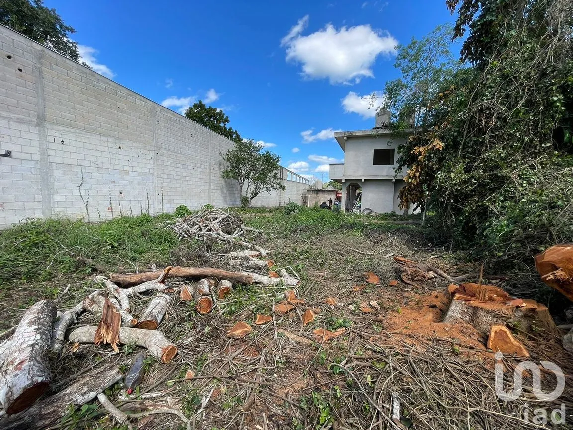 Terreno en Venta en José María Morelos, José María Morelos, Quintana Roo | NEX-189139 | iad México | Foto 4 de 12