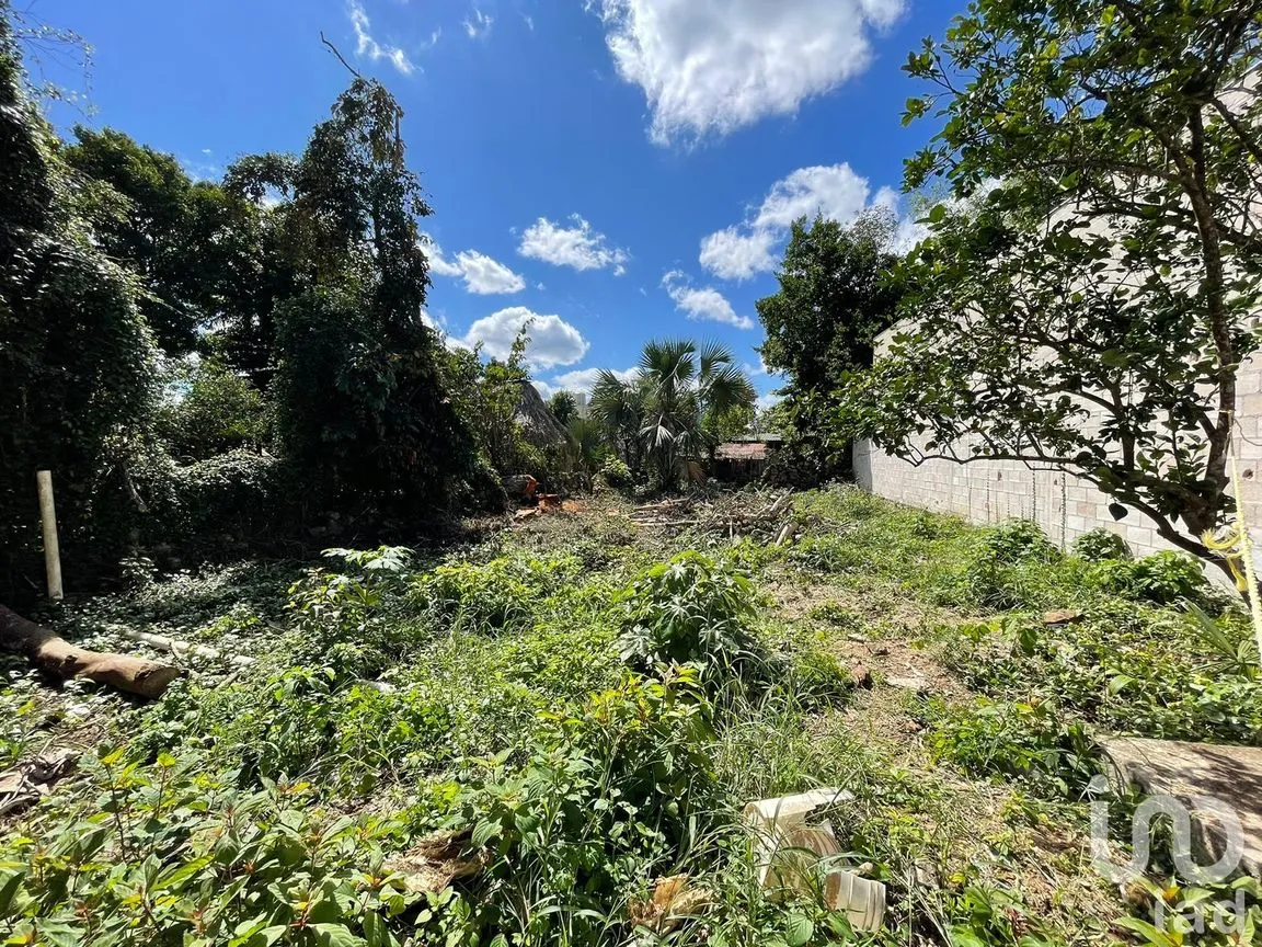 Terreno en Venta en José María Morelos, José María Morelos, Quintana Roo | NEX-189139 | iad México | Foto 9 de 12