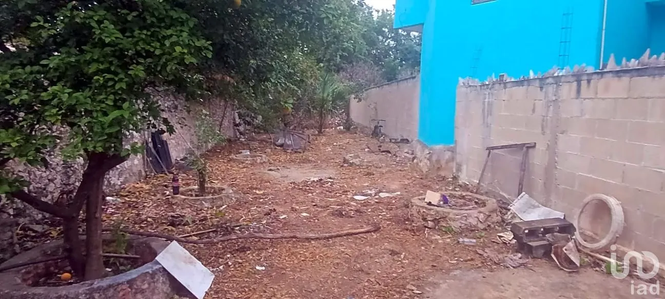 Casa en Venta en 5 Colonias, Mérida, Yucatán | NEX-261381 | iad México | Foto 14 de 14