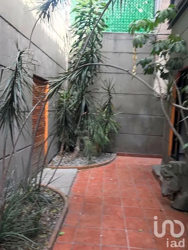 Casa en Renta en Del Valle Centro, Benito Juárez, Ciudad de México | NEX-203348 | iad México | Foto 4 de 24