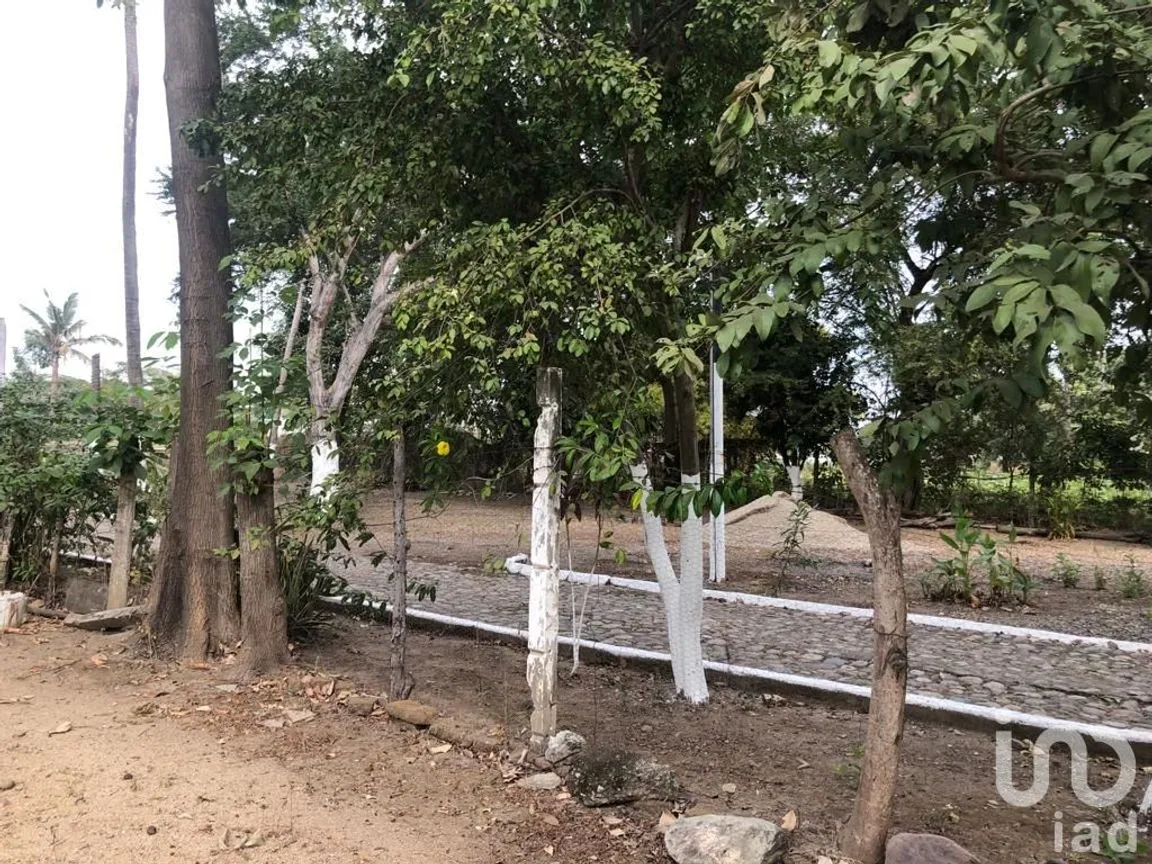 Terreno en Renta en Las Jarretaderas, Bahía de Banderas, Nayarit | NEX-205088 | iad México | Foto 2 de 10