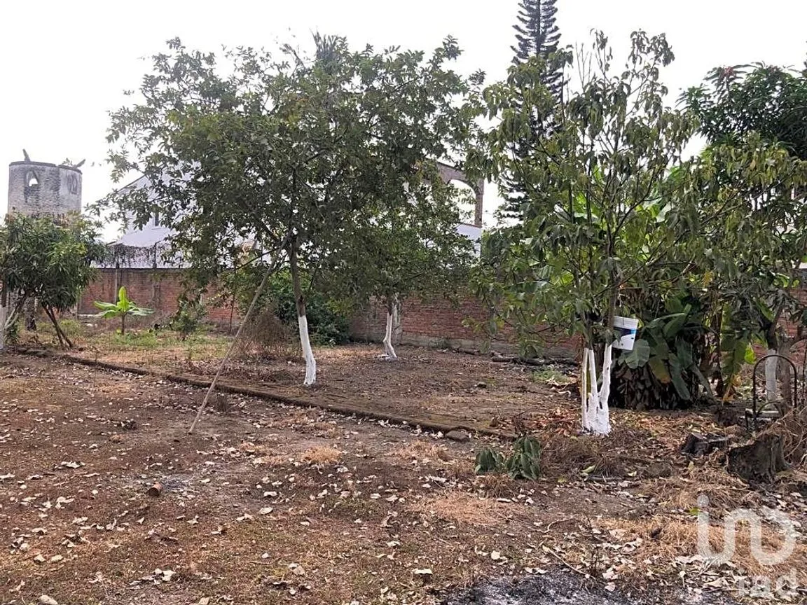 Terreno en Renta en Las Jarretaderas, Bahía de Banderas, Nayarit | NEX-205088 | iad México | Foto 4 de 10