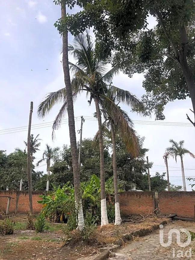 Terreno en Renta en Las Jarretaderas, Bahía de Banderas, Nayarit | NEX-205088 | iad México | Foto 5 de 10