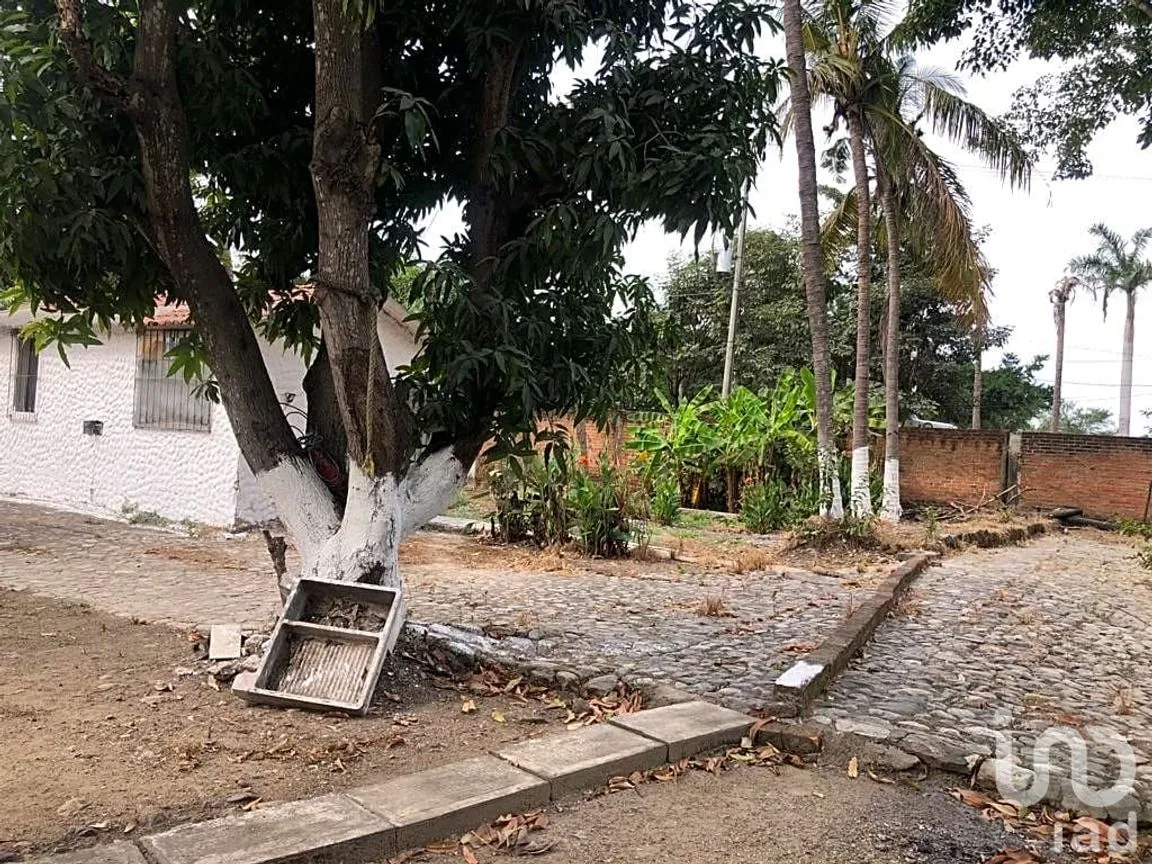 Terreno en Renta en Las Jarretaderas, Bahía de Banderas, Nayarit | NEX-205088 | iad México | Foto 6 de 10