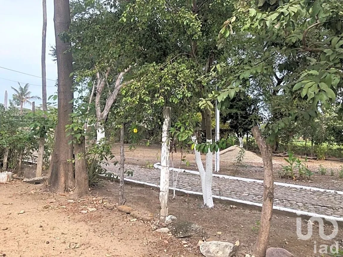 Terreno en Renta en Las Jarretaderas, Bahía de Banderas, Nayarit | NEX-205088 | iad México | Foto 8 de 10