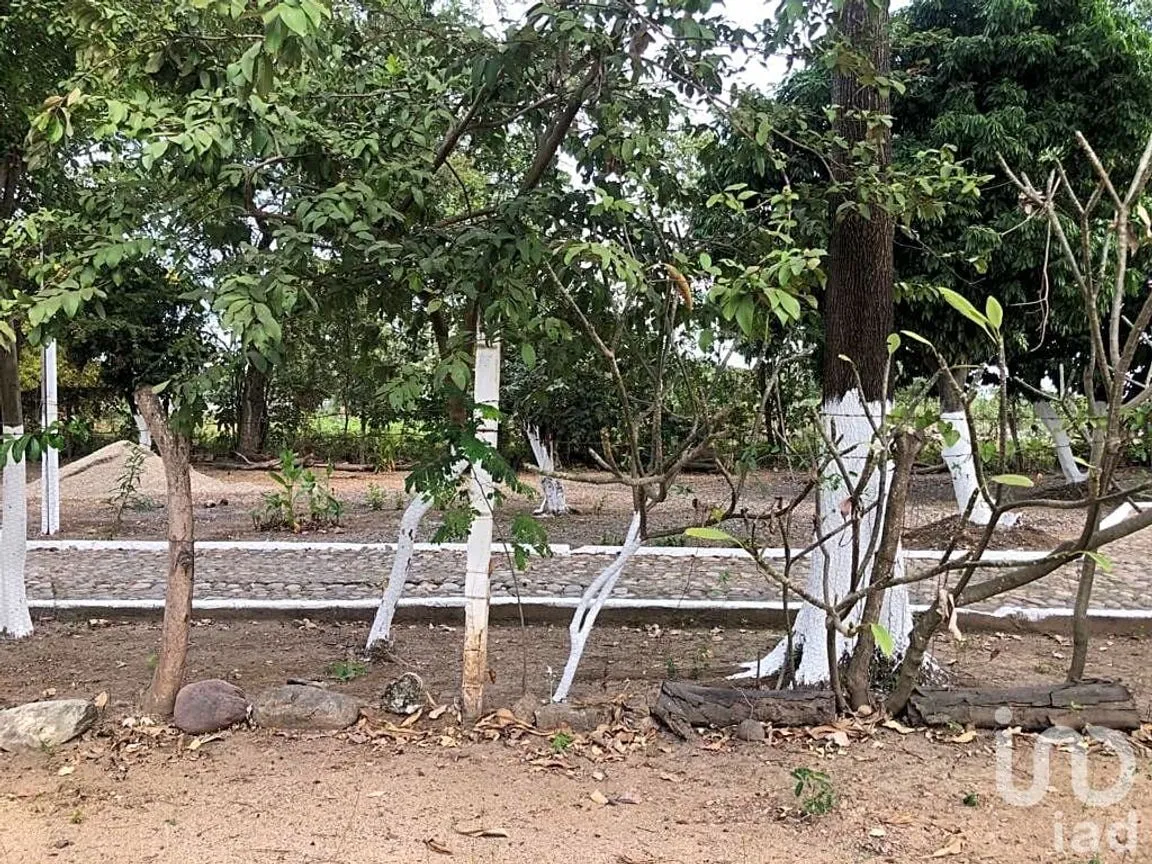 Terreno en Renta en Las Jarretaderas, Bahía de Banderas, Nayarit | NEX-205088 | iad México | Foto 9 de 10