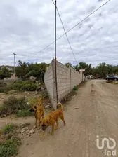 NEX-213401 - Terreno en Venta en Dos Carlos Pueblo Nuevo, CP 42182, Hidalgo.