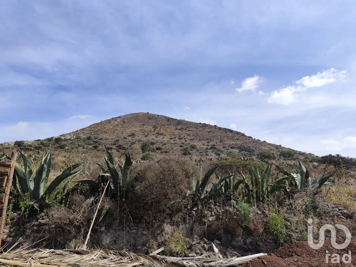 Departamento en Venta en San Miguel Tornacuxtla, San Agustín Tlaxiaca, Hidalgo | NEX-241022 | iad México | Foto 2 de 15