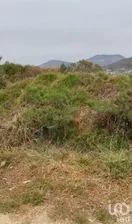 NEX-290105 - Terreno en Venta en Amealco de Bonfil Centro, CP 76850, Querétaro.