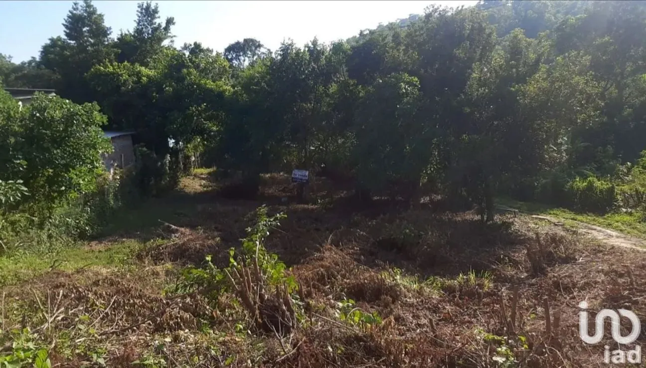 Terreno en Venta en Guadalupe Victoria, Poza Rica de Hidalgo, Veracruz de Ignacio de la Llave | NEX-192172 | iad México | Foto 3 de 9