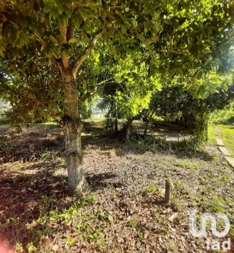 Terreno en Venta en Guadalupe Victoria, Poza Rica de Hidalgo, Veracruz de Ignacio de la Llave | NEX-192172 | iad México | Foto 8 de 9