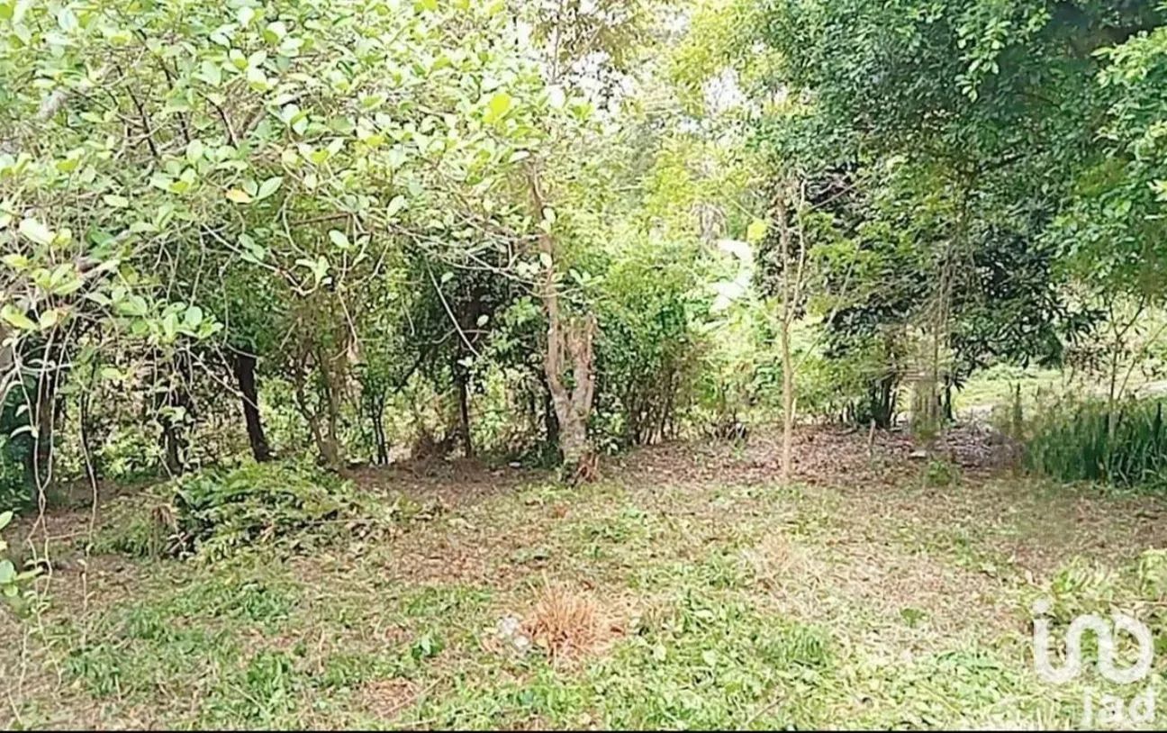 Terreno en Venta en Guadalupe Victoria, Poza Rica de Hidalgo, Veracruz de Ignacio de la Llave | NEX-192172 | iad México | Foto 9 de 9