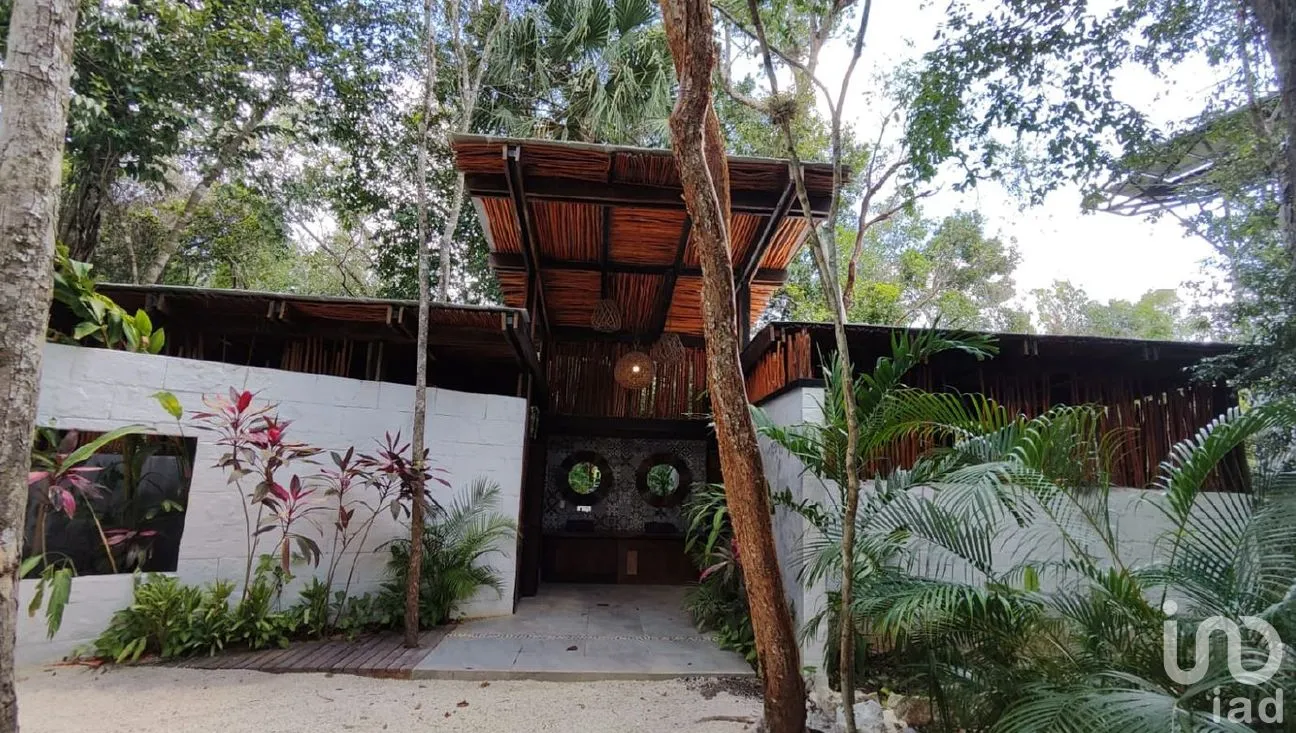 Terreno en Venta en Puerto Morelos, Puerto Morelos, Quintana Roo | NEX-290202 | iad México | Foto 7 de 14