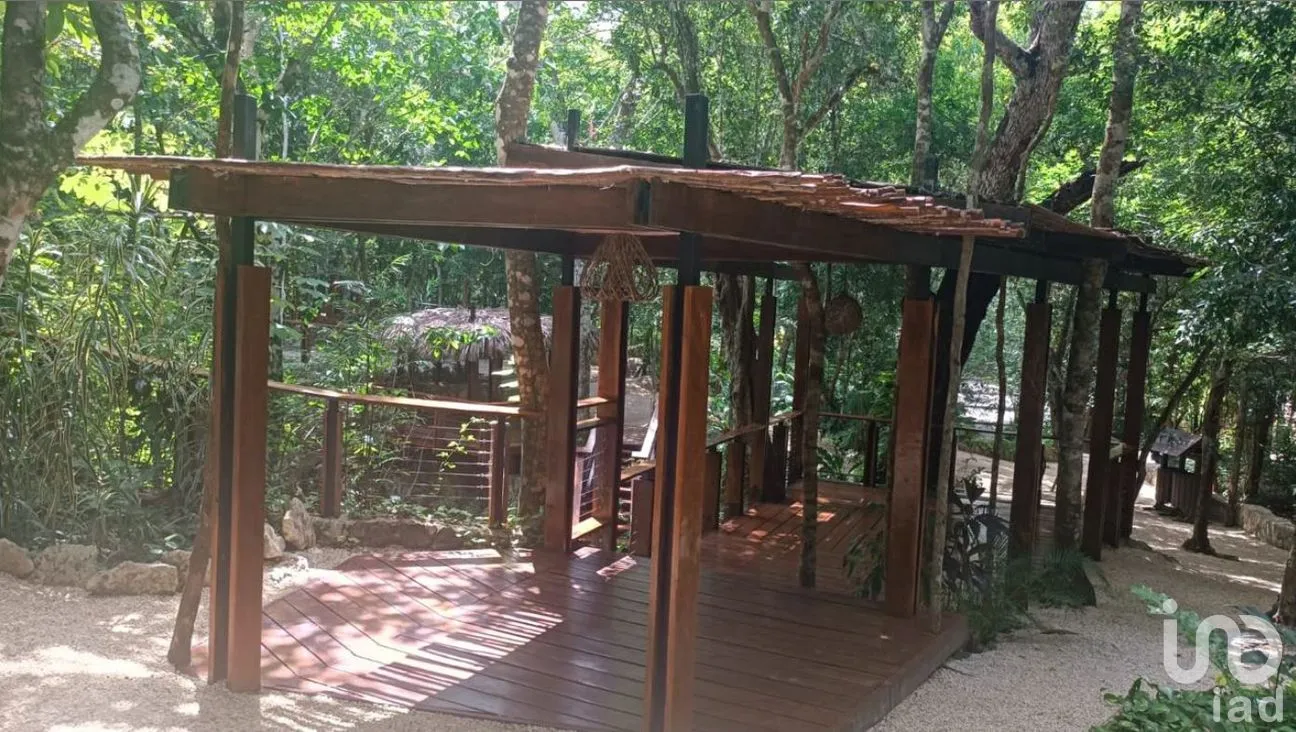 Terreno en Venta en Puerto Morelos, Puerto Morelos, Quintana Roo | NEX-290202 | iad México | Foto 9 de 14
